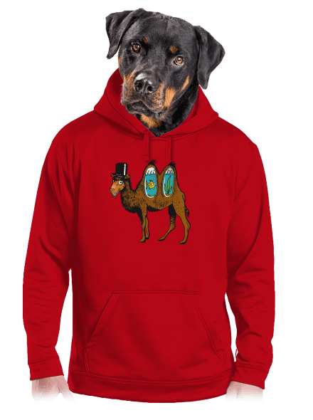 férfi kenguruzsebes pulóver