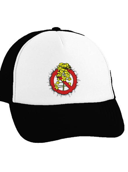 Repce sültös sapka  Black cap