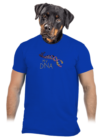 My DNA férfi póló Royal Blue
